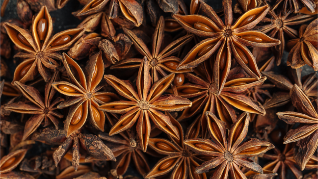 Tips from Benzadeira: Discover the energy benefits of star anise Tips from Benzadeira: Discover the energy benefits of star anise