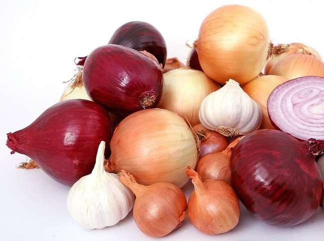 2. How to plant onions: Onions are an ancestral food that has been cultivated for millennia. Source: Pixabay 2. How to plant onions: Onions are an ancestral food that has been cultivated for millennia. Source: Pixabay