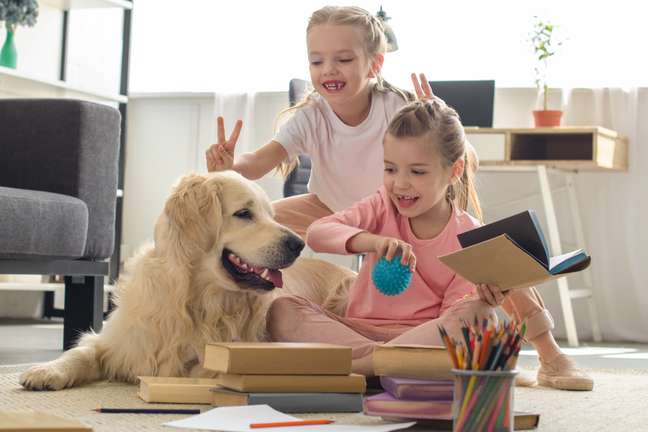 Interacting with children helps with pet anxiety Interacting with children helps with pet anxiety