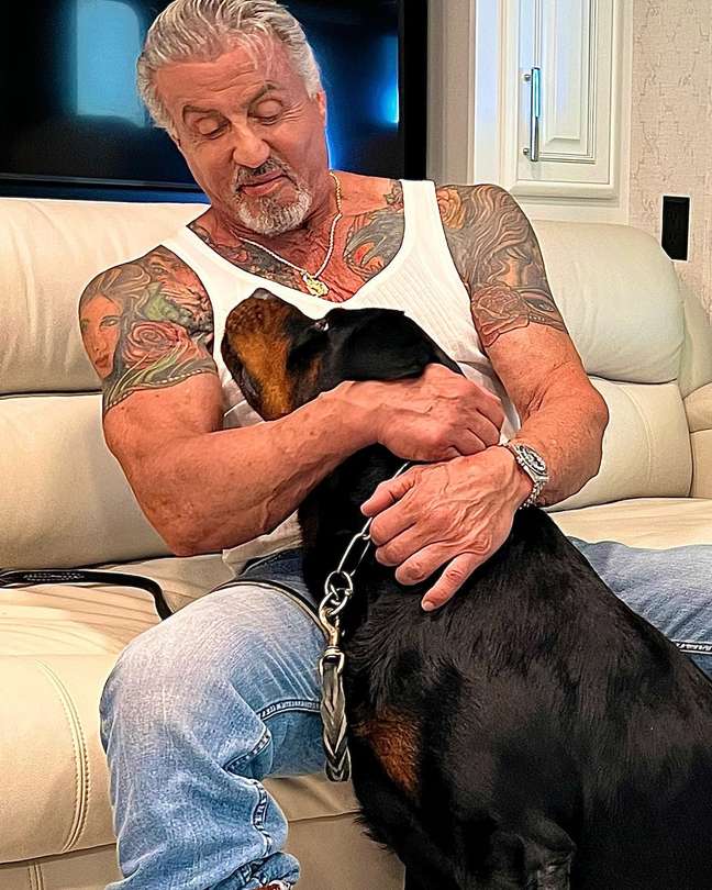 Stallone doesn’t blame the dog for his divorce Stallone doesn’t blame the dog for his divorce