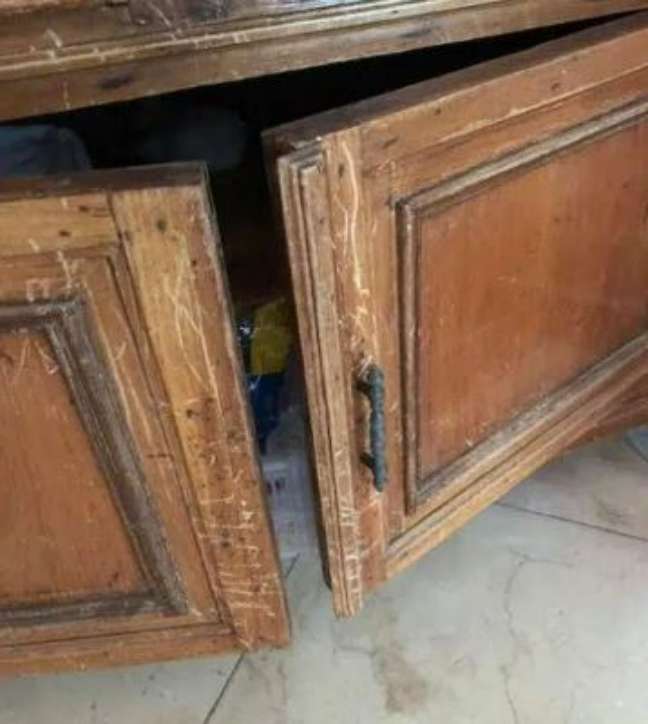 Damage found in the living room closet, according to the report.