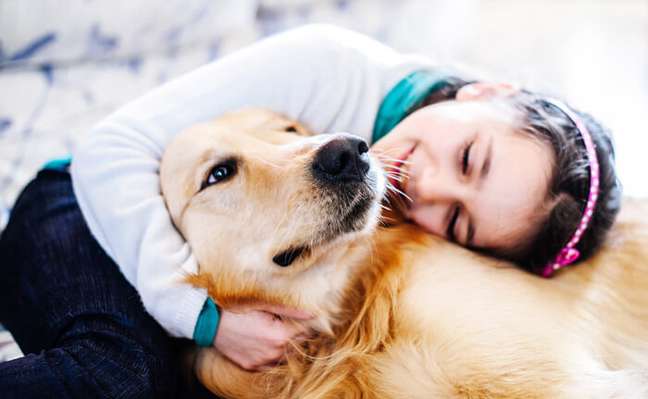 The security company creates a system to locate lost dogs The security company creates a system to locate lost dogs
