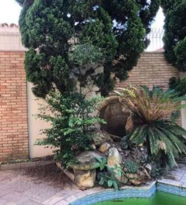 Broken vase in the garden, according to the report