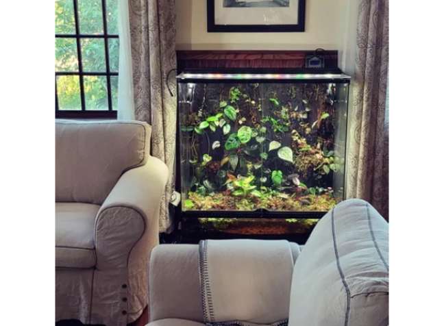 aquarium as a greenhouse