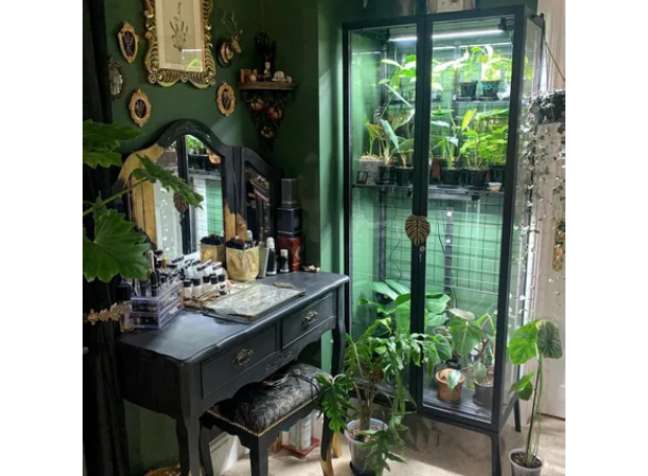 IKEA wardrobe as a greenhouse