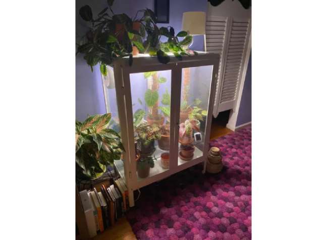 Build a greenhouse inside a closet