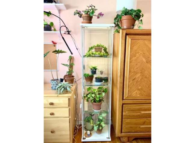IKEA Detolf wardrobe as a greenhouse