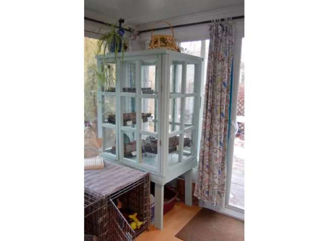 Internal greenhouse of recycled frames