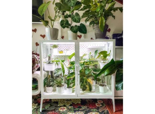 Corner wardrobe for greenhouse