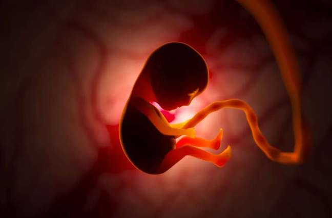 The penis is still formed in the fetus, and hormonal problems such as the hypothalamus or pituitary gland can result in the baby being born with a micropenis, a condition that is not acquired later in any case (Image: vladimirzotov / envato)