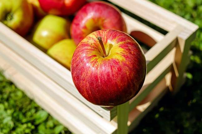 Soluble and insoluble fibers: what they are, the differences and why to consume them Soluble and insoluble fibers: what they are, the differences and why to consume them