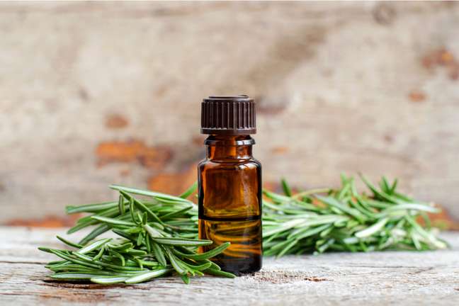 Rosemary essential oil helps focus Rosemary essential oil helps focus