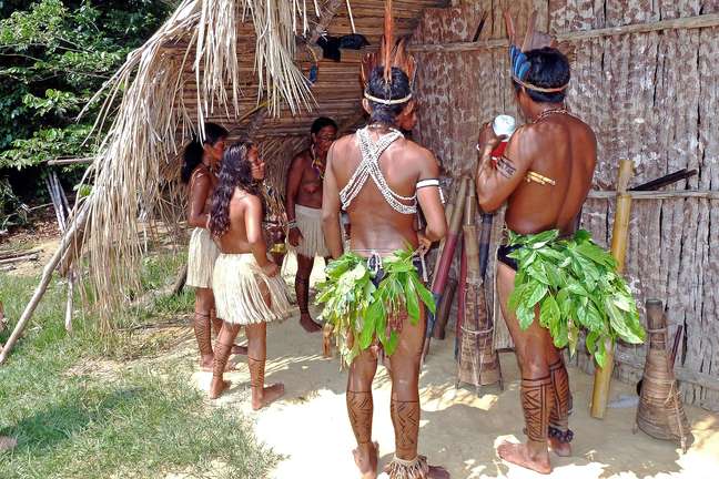 Ind&iacute;genas da Amaz&ocirc;nia peruana conseguiram reduzir o desmatamento ilegal a partir do uso de smartphones