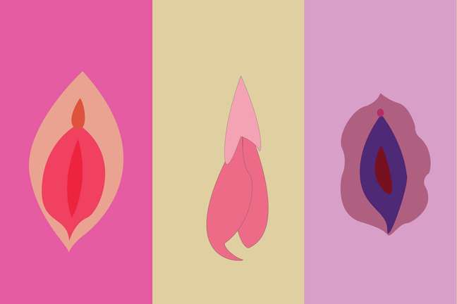 History built the image that the clitoris was not important History built the image that the clitoris was not important