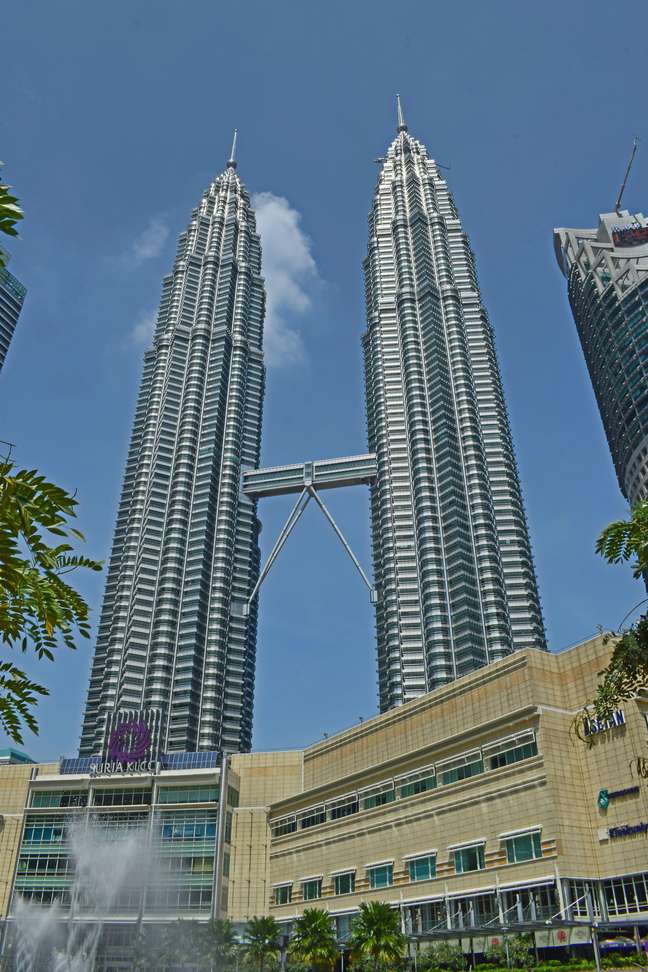They are the tallest twin towers in the world.
