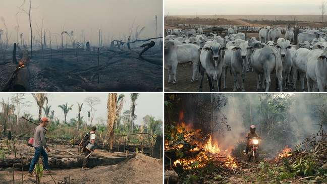 Quando a gente fala de desmatamento e mudan&ccedil;as clim&aacute;ticas, cadeia de produ&ccedil;&atilde;o, estamos falando de direitos humanos tamb&eacute;m. e quem sofre somos n&oacute;s.