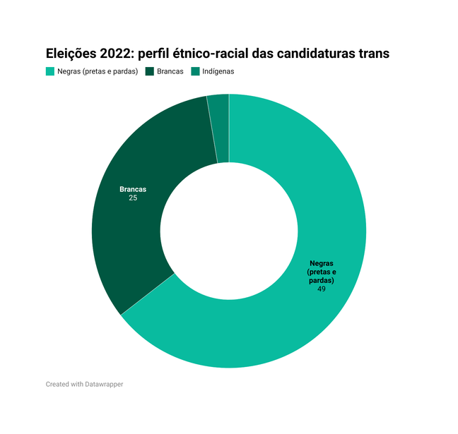  perfil étnico-racial das candidaturas trans