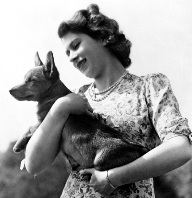 A rainha Elizabeth II com seu cachorro de estimação