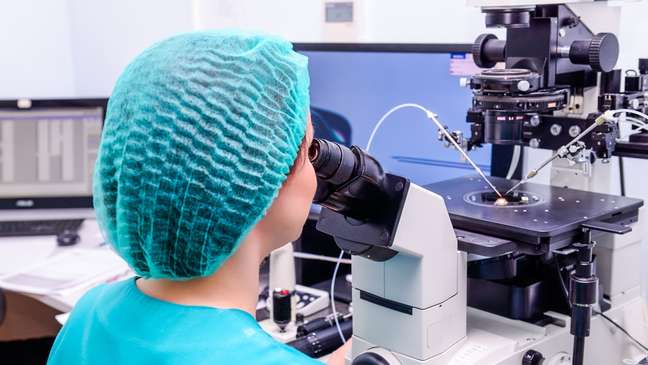 In Vitro Fertilization: What to Really Expect from the Procedure In Vitro Fertilization: What to Really Expect from the Procedure