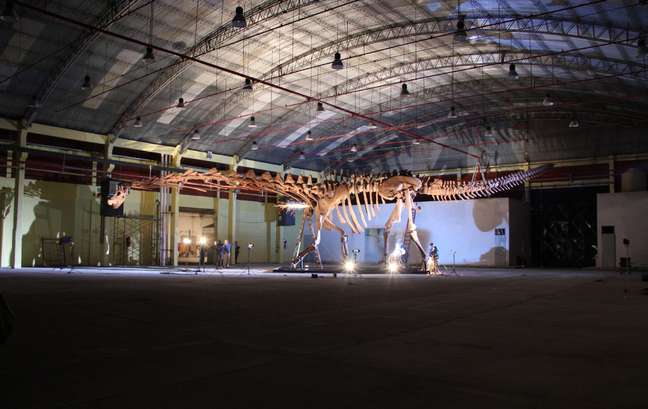 Assembling the Patagotian skeleton took six days. In the photo, the dinosaur exhibited at the Patagonian museum Assembling the Patagotian skeleton took six days. In the photo, the dinosaur exhibited at the Patagonian museum