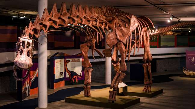 Ibirapuera Park receives the exhibition of the largest dinosaur in the world