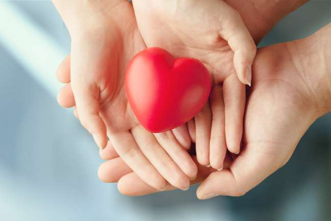 Bone marrow: understand the importance of donation