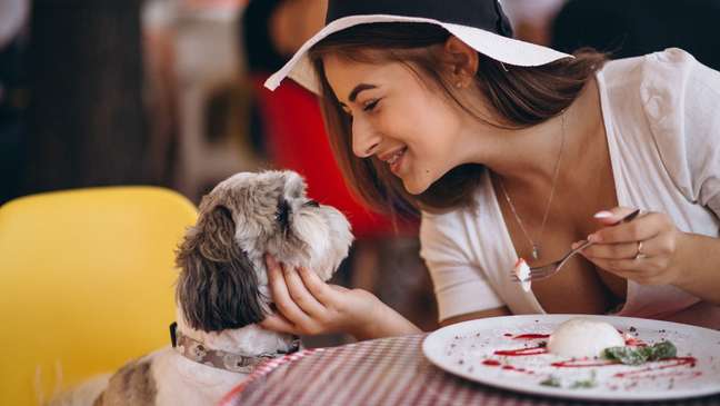 What are pets? Understand the meaning of this term What are pets? Understand the meaning of this term