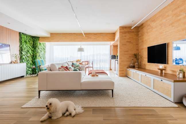 Safe Pets: Decorating tips to keep your pet safe indoors Safe Pets: Decorating tips to keep your pet safe indoors