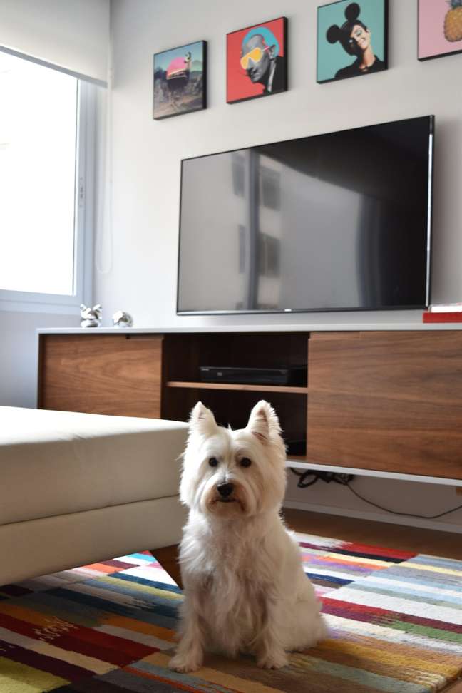 The choice of mat should also be considered, as pets spend a lot of time lying on them. Project by the architect Marina Carvalho. The choice of mat should also be considered, as pets spend a lot of time lying on them. Project by the architect Marina Carvalho.