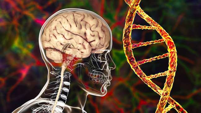 Studies on the influence of genes on Alzheimer's risk made new discoveries in 2022