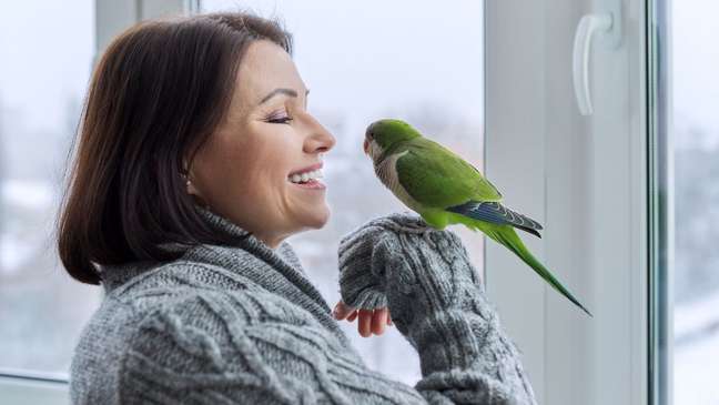 A parrot is the perfect pet for Gemini -