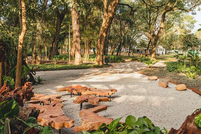 Benches made of tree trunks complete the landscape signed by Plantar Ideias. Benches made of tree trunks complete the landscape signed by Plantar Ideias.
