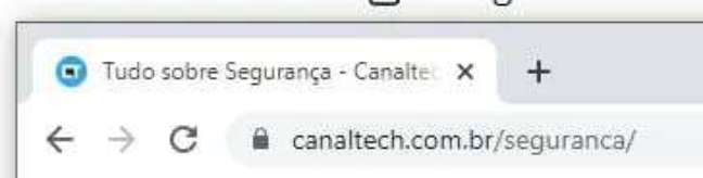 A padlock next to the address bar of the browser indicates the use of the HTTPS protocol, which ensures the connection between the user and the server of the website or service (Image: Screenshot/Canaltech)