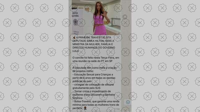 Posts alegam que Erika Hilton foi convidada a ser ministra do governo Lula, o que é falso Posts alegam que Erika Hilton foi convidada a ser ministra do governo Lula, o que é falso