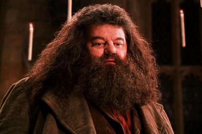 Hagrid, Snape, Dumbledore. Remember which “Harry Potter” actors died Hagrid, Snape, Dumbledore. Remember which “Harry Potter” actors died