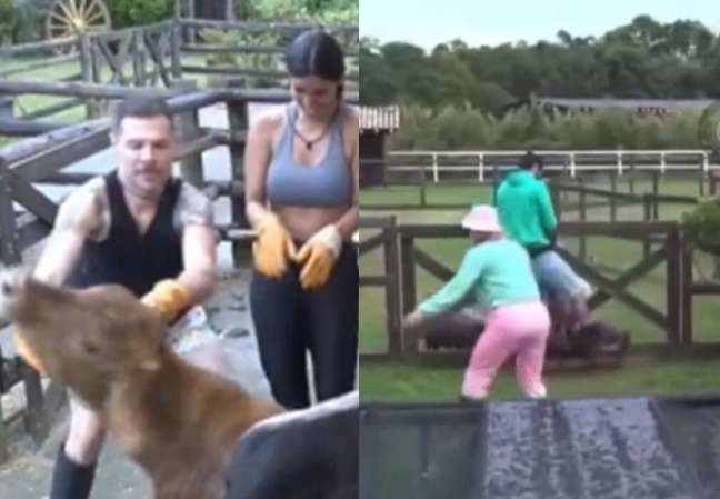The members of “A Fazenda” are accused of mistreating the animals of the program The members of “A Fazenda” are accused of mistreating the animals of the program