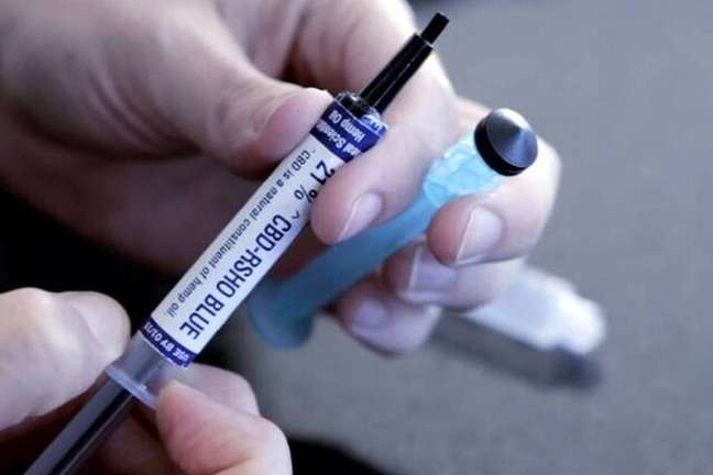 CFM restricts the use of medical cannabis and vetoes doctors’ lectures on the subject CFM restricts the use of medical cannabis and vetoes doctors’ lectures on the subject