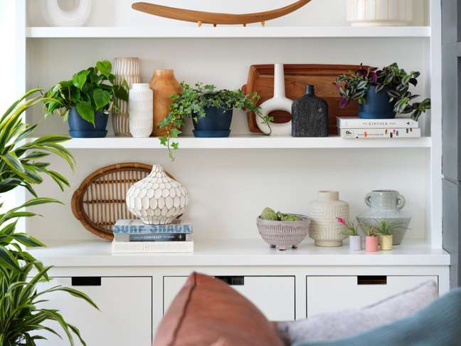 5 reasons to love hanging plants and vines 5 reasons to love hanging plants and vines