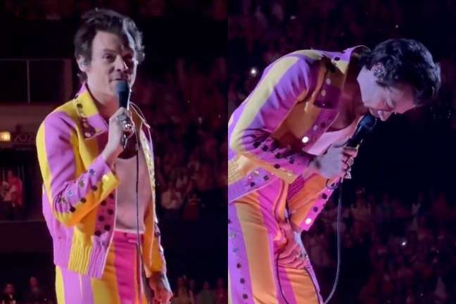 Harry Styles is hit by a bottle in the groin during the concert: “It was a shame”