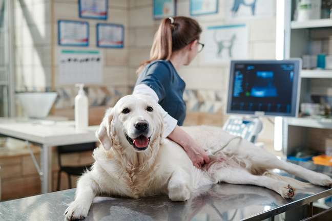 Diagnosis can be made using ultrasound. Diagnosis can be made using ultrasound.