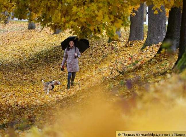 The good ideas that arise while walking, in the shower or sleeping The good ideas that arise while walking, in the shower or sleeping