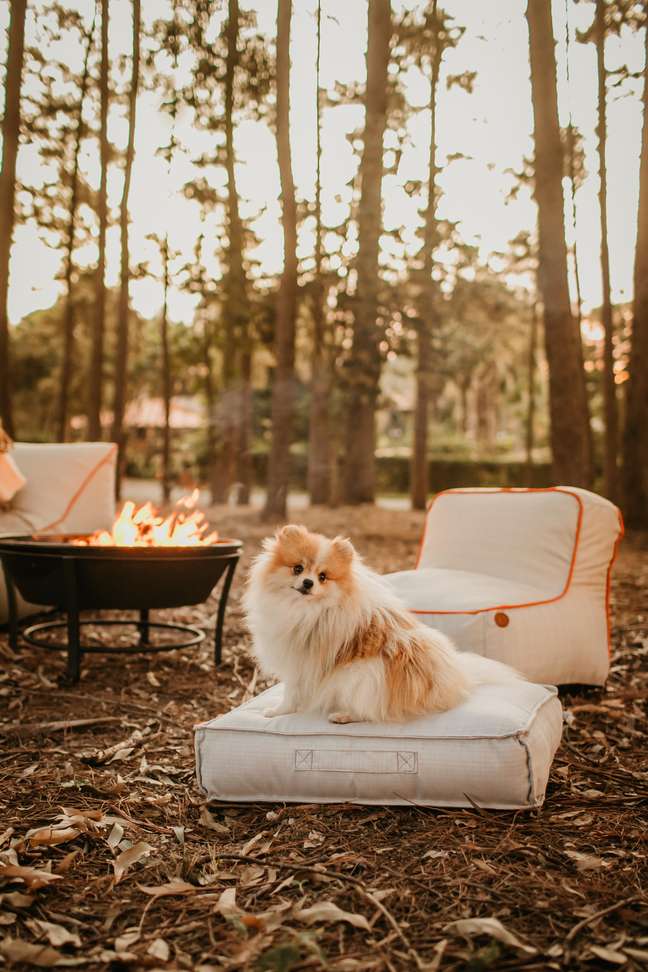 Eco Flame Garden pet bed Eco Flame Garden pet bed