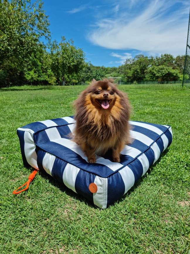 Eco Flame Garden pet bed Eco Flame Garden pet bed