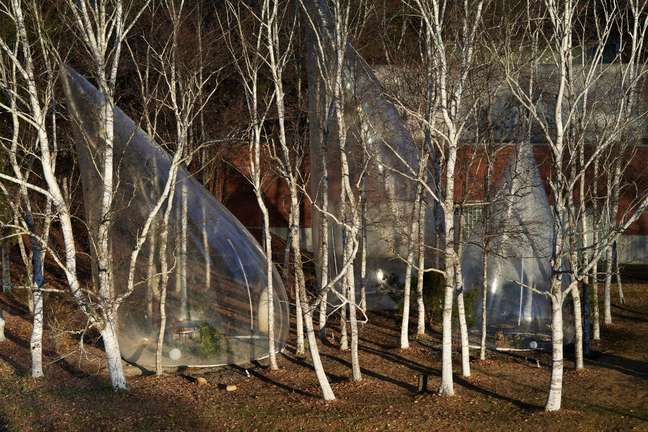 Teardrop-shaped huts occupy the forest in Japan
