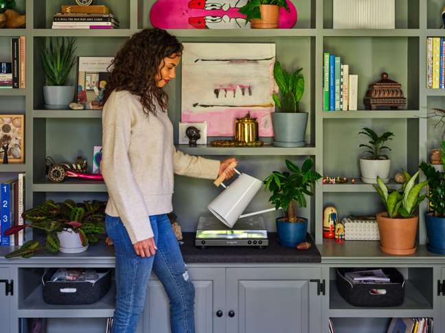 The 6 most common mistakes in plant care