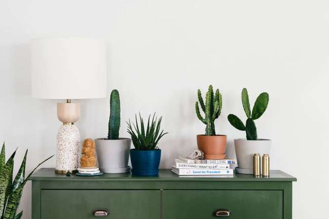 Small green sideboard with cactus pots