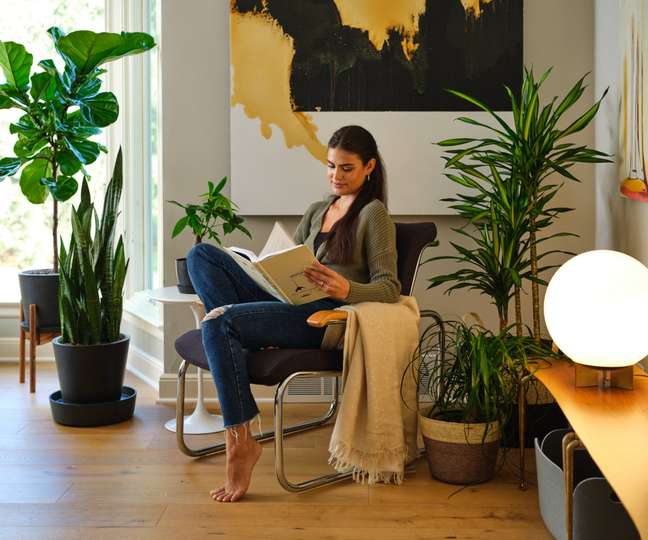 Woman sitting on chair reading room with plants