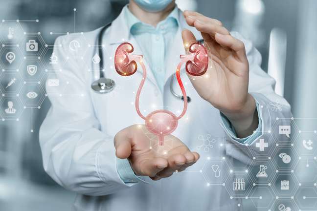 Find out about the most common urological diseases in women