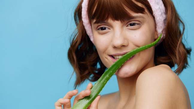 Aloe Vera: Know the benefits of aloe vera for hair Aloe Vera: Know the benefits of aloe vera for hair