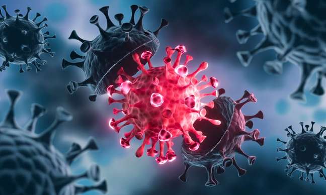 BQ.1 and XBB: what is known about the new coronavirus variants BQ.1 and XBB: what is known about the new coronavirus variants